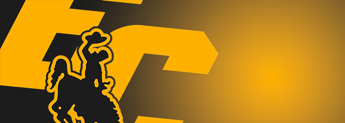 El Capitan Vaqueros Football logo